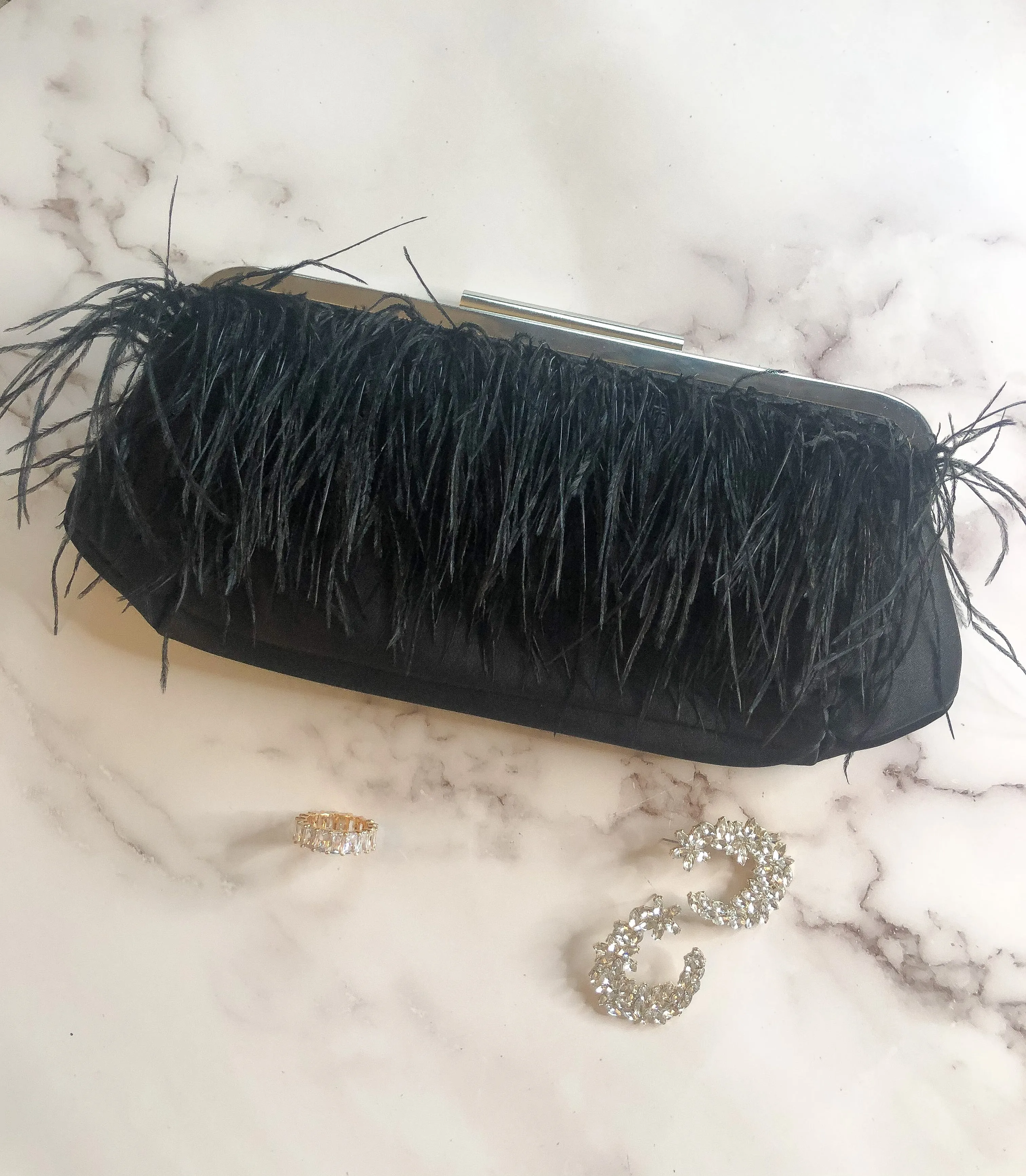 Feather a Dull Moment Evening Clutch - Black